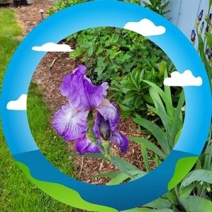 Meet your Posher, Beverley